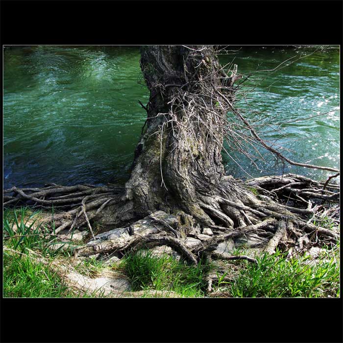 Down by the Riverside
