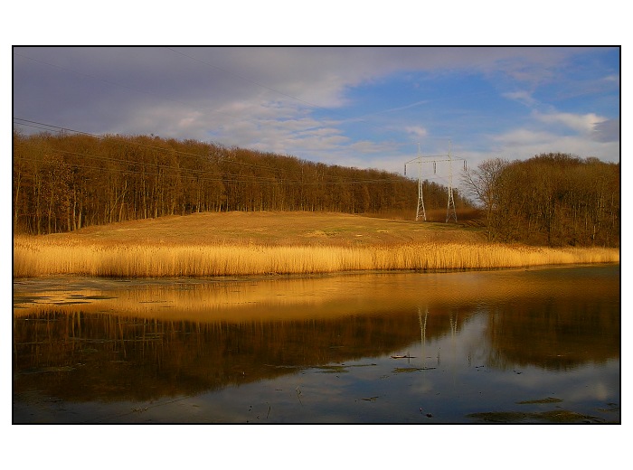 swamp and energy