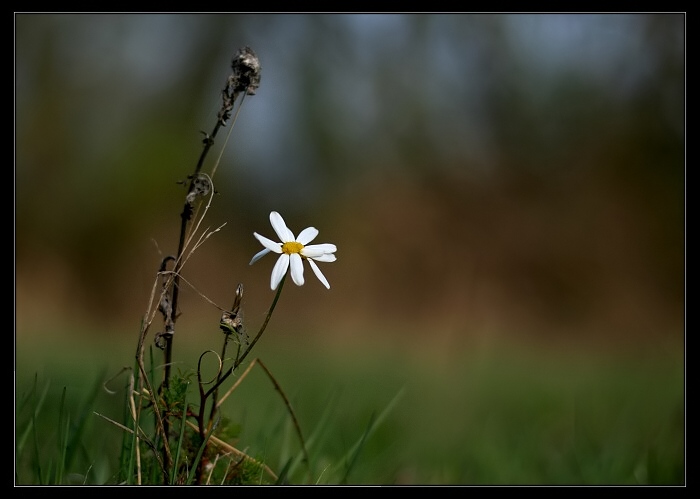 ...moderná...vypočítavá...