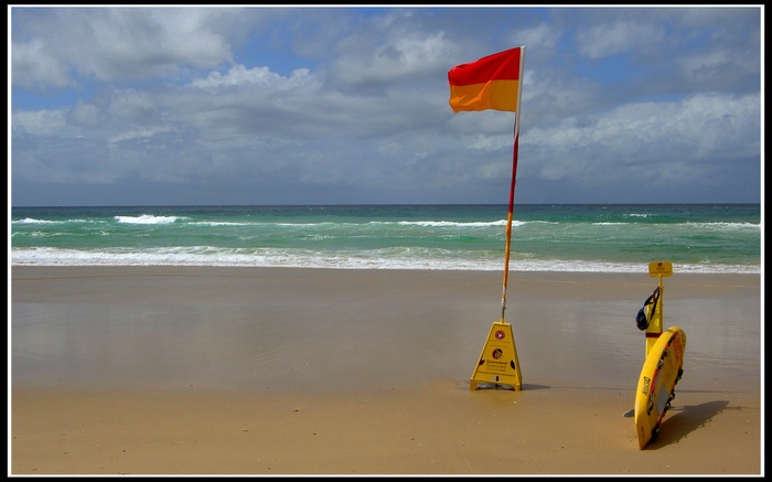 Surf Rescue