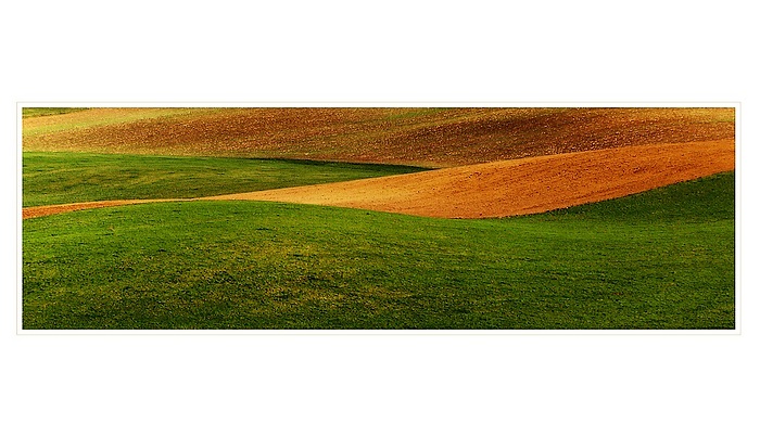 ...línie...
