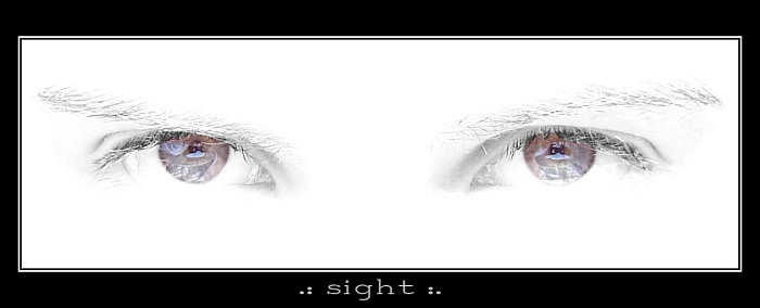 Sight