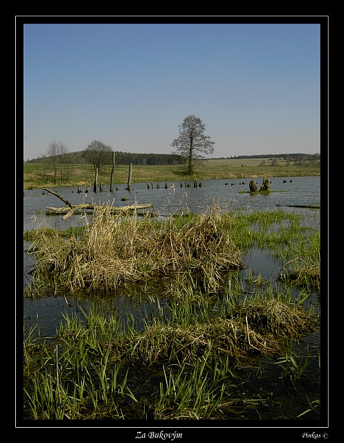 Za Bukovym * by bike 3.2007