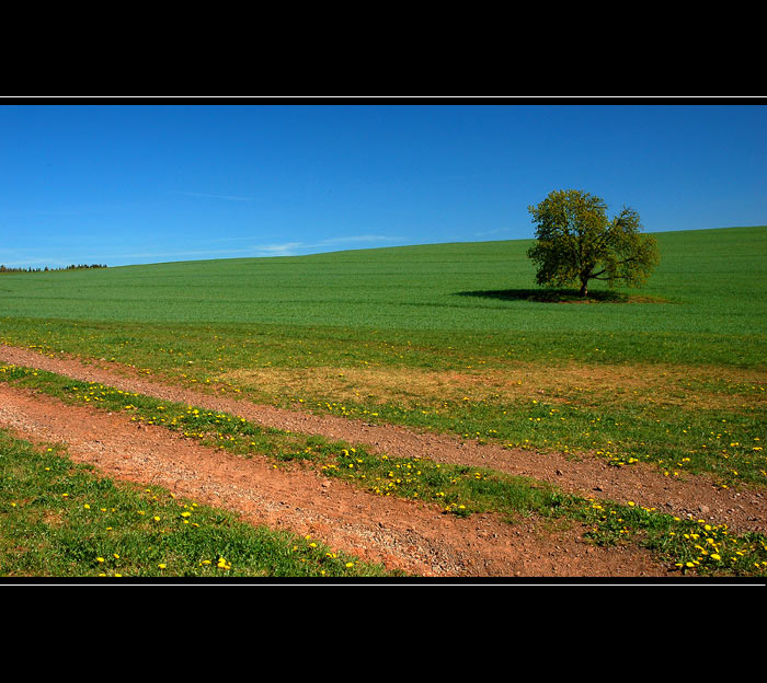 ...krkonošská scenérie...