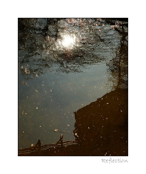 ...reflection...