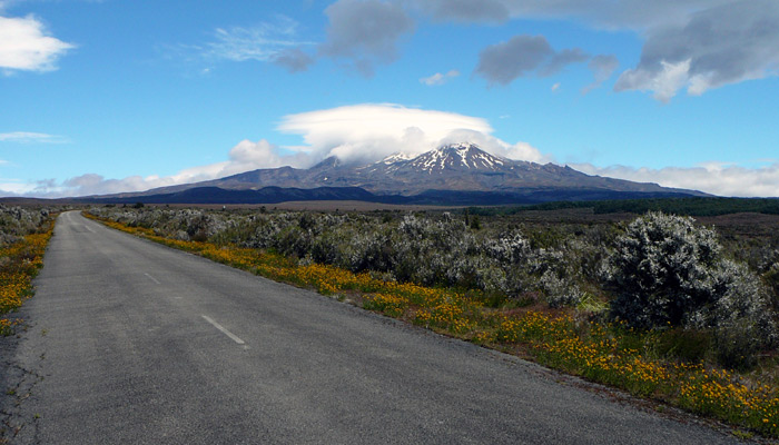 RUAPEHU MT.