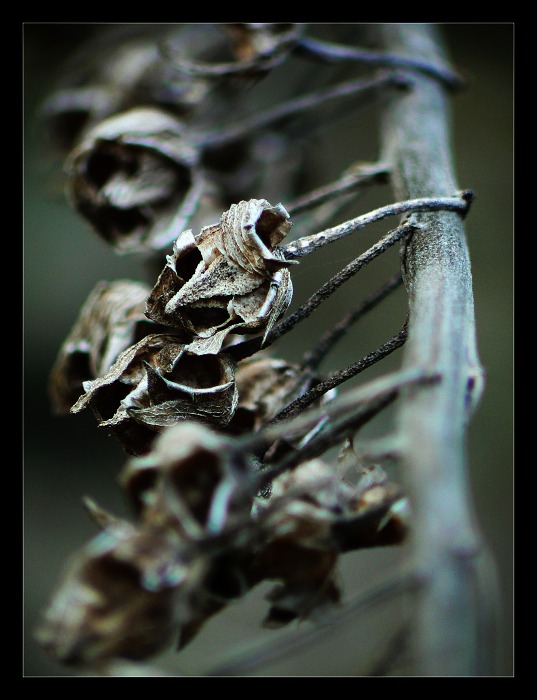 Co zbylo z loňského léta