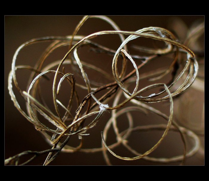 Vzpomínka na loňské léto