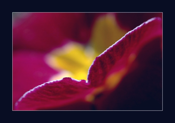 Probouzení