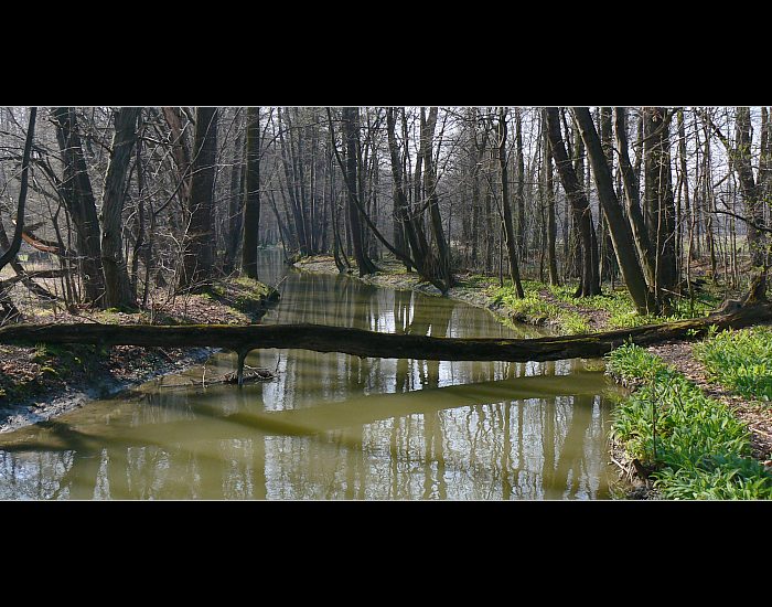 Polanská niva