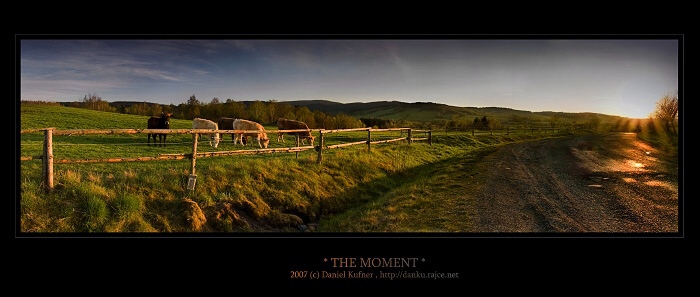 * THE MOMENT *
