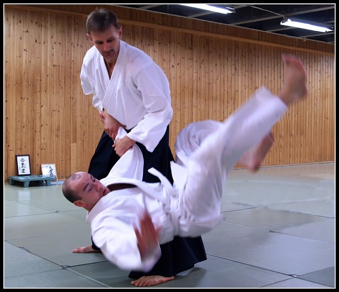Aikidotrenink