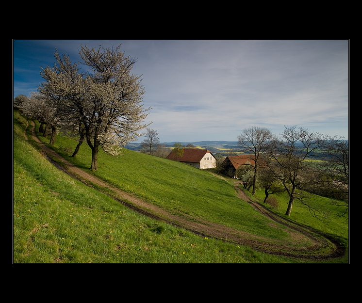 Všechny cesty vedou... domů