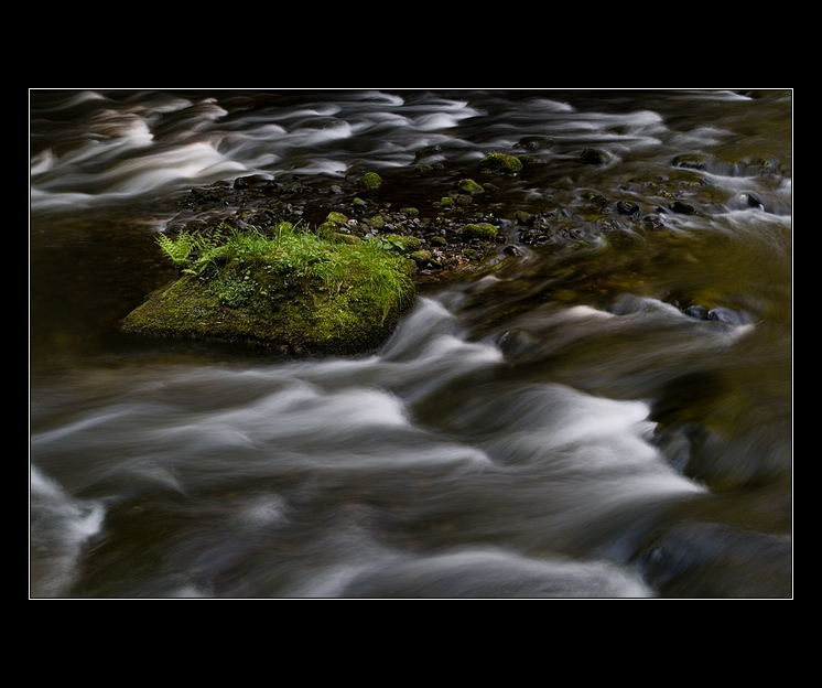 V sametovém objetí