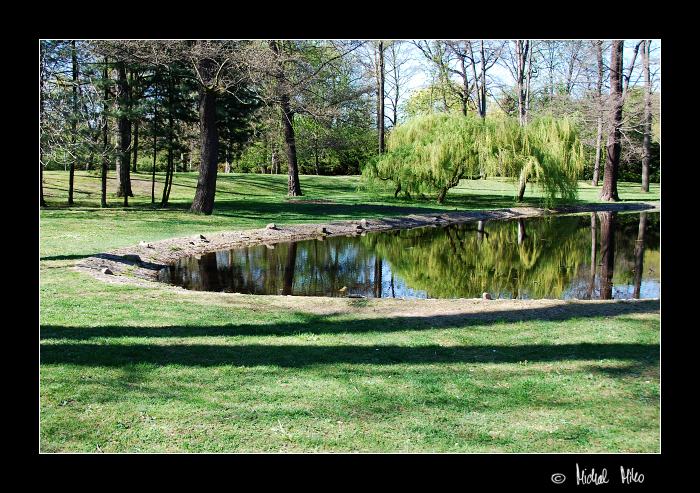 Zákoutí městského parku III