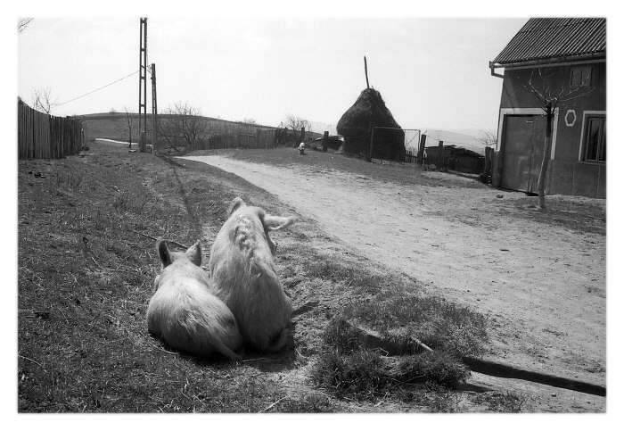 Romantika v Rovensku