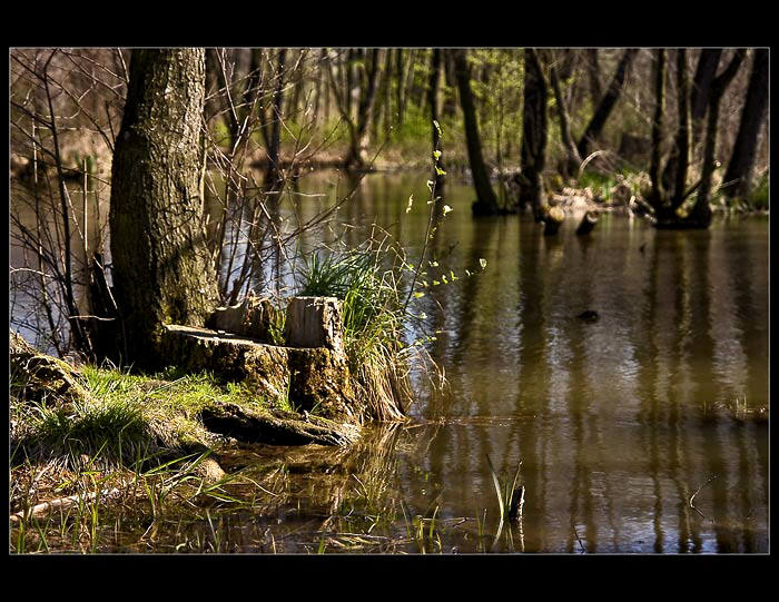 Slepé rameno řeky Hron
