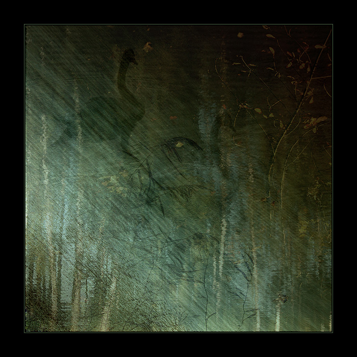 ... sorrow...