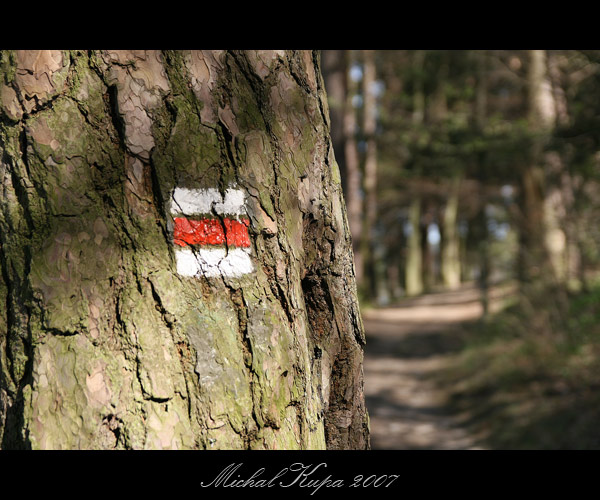-Red Sign-
