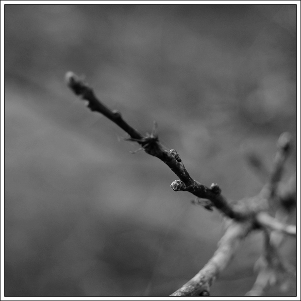 ..abstrakce...