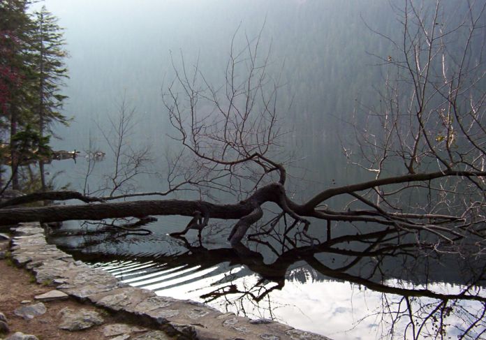 Šumava v podzimu
