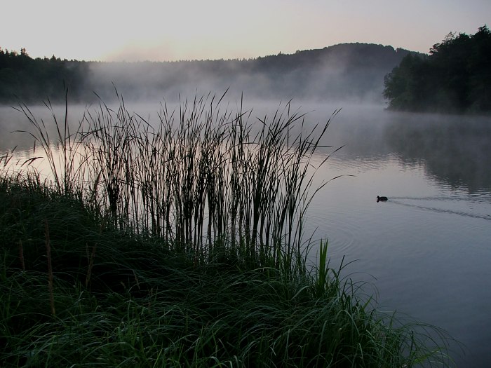 ...ráno na vodě II...