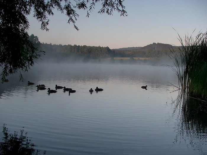 ...ráno na vodě III...
