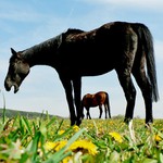 Bacha šmírák! :o)