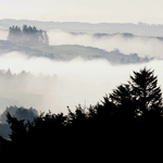 Ranni mlha u Killarney