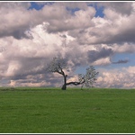 ,,sám voják v poli,,