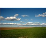 velikonoční poledne