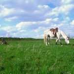 cowboy