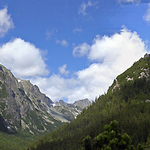 Na terynku