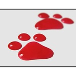 Když odchází láska.....