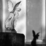 I andělé mají černé stíny...