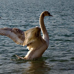 Pozóóór, vzlietam!