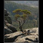 Drábské světničky