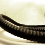 zátiší s květinami