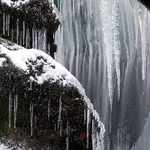 ledové království