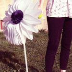 Chtěla by vrůst do země...II.