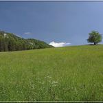 Každý tu má svoje miesto