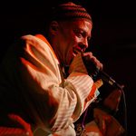 Dr Madd Vibe - Fishbone