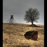 Velký kámen, strom a posed (II)