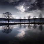 mirror/rorrim