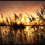 Jezerni vychod slunce