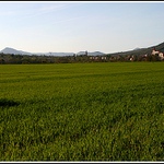 V dáli České středohoří.