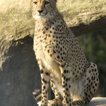 " KONEČNĚ SLUNÍČKO ! "