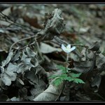 Něco končí a něco začíná