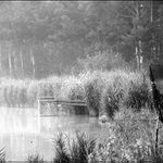 zatiší s podběrákem