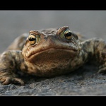 Zrcadlo, zrcadlo....